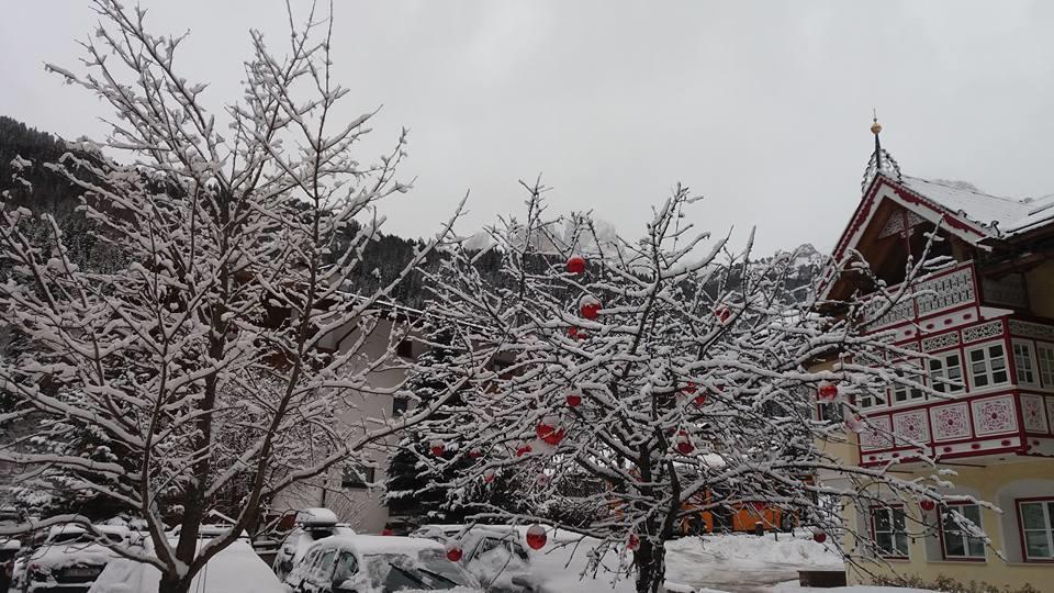קאמפיטלו די פאסה Alpenhotel Panorama מראה חיצוני תמונה